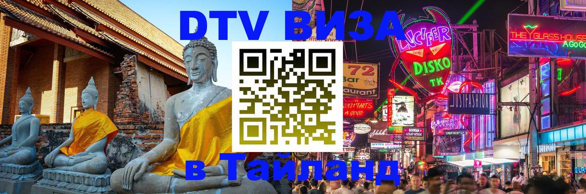 Сколько стоит DTV виза — актуальные цены, оформление даже без документов - 11.12.2025 